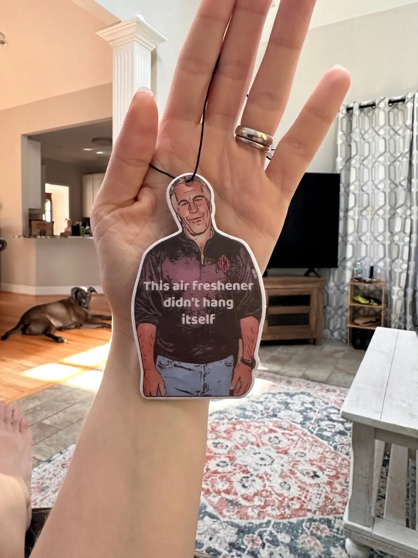 1PC Jeffrey Epstein Car Air Freshener